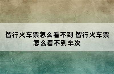 智行火车票怎么看不到 智行火车票怎么看不到车次